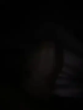 halopc online show from February 2026 06:46:01 PM