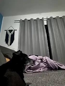 mikeara90 online show from October 2025 10:31:01 PM