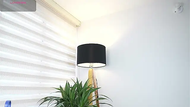 DeusbelliS online show from October 2025 08:31:01 PM