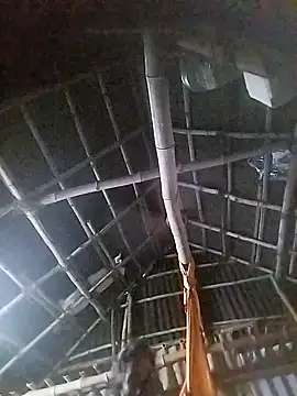 Tamilauntyhot online show from November 2025 04:23:02 AM