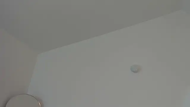 Taylormaxwell online show from December 2025 08:58:02 PM