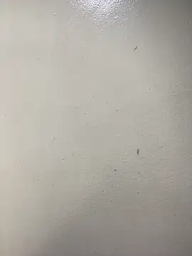 Issa Santana online show from February 2026 07:15:02 PM