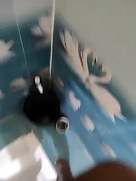 Snapshot of Telugu_person12 chatting on November 2025 04:51:01 PM Telugu person12 online show from November 2025 04:51:01 PM