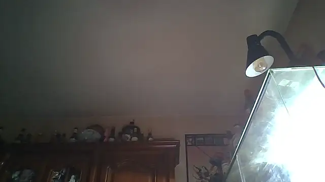 Snapshot of zipman92 chatting on January 2026 08:34:02 PM zipman92 online show from January 2026 08:34:02 PM