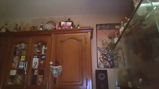 Snapshot of zipman92 chatting on January 2026 05:45:02 AM zipman92 online show from January 2026 05:45:02 AM