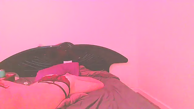 Snapshot of straightozgoesdwn chatting on November 2025 06:08:02 PM straightozgoesdwn online show from November 2025 06:08:02 PM