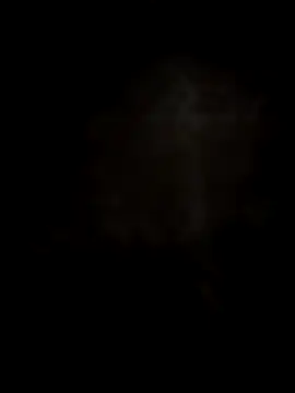 Dior 521 online show from November 2025 04:07:01 AM