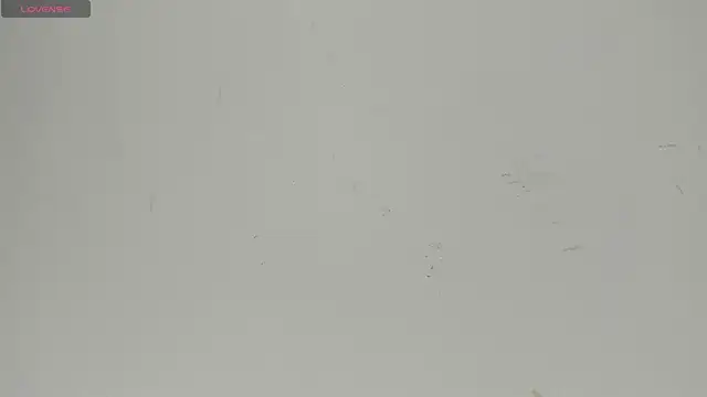 Sophia Ebony online show from June 2026 12:24:02 PM