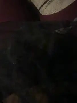 nenad062 online show from December 2025 07:03:01 AM