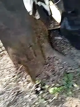 Snapshot of Odecca11 chatting on March 2026 01:49:02 PM Odecca11 online show from March 2026 01:49:02 PM