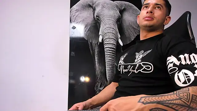 Snapshot of king_falconer chatting on October 2025 11:49:02 PM king falconer online show from October 2025 11:49:02 PM