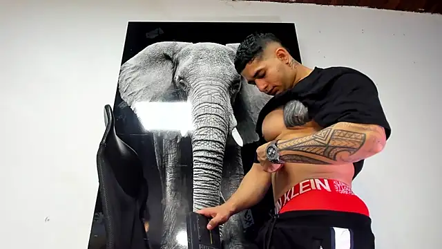 Snapshot of king_falconer chatting on October 2025 02:12:01 AM king falconer online show from October 2025 02:12:01 AM