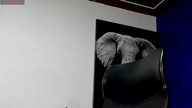 Snapshot of king_falconer chatting on November 2025 01:44:02 AM king falconer online show from November 2025 01:44:02 AM