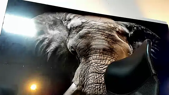 Snapshot of king_falconer chatting on November 2025 02:32:02 AM king falconer online show from November 2025 02:32:02 AM