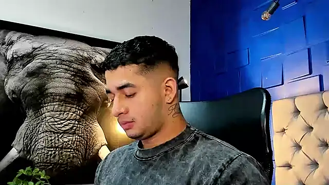 Snapshot of king_falconer chatting on November 2025 01:27:01 AM king falconer online show from November 2025 01:27:01 AM