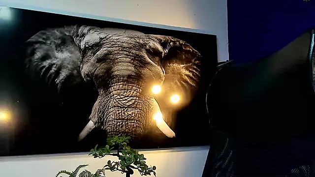 Snapshot of king_falconer chatting on November 2025 12:56:02 AM king falconer online show from November 2025 12:56:02 AM