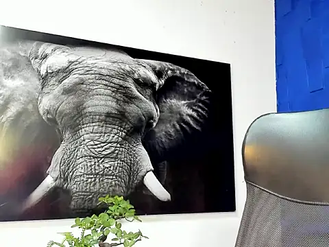 Snapshot of king_falconer chatting on December 2025 12:49:02 AM king falconer online show from December 2025 12:49:02 AM