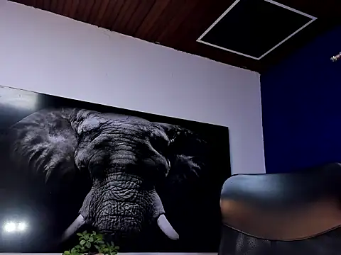 king falconer online show from January 2026 02:16:02 AM