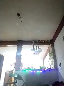 Snapshot of perrotjuui97 chatting on November 2025 01:47:01 AM perrotjuui97 online show from November 2025 01:47:01 AM