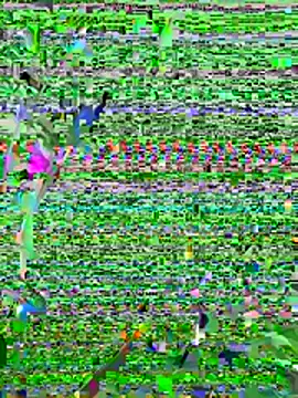 long nigth online show from June 2026 07:51:02 PM