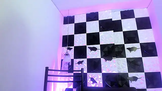 AndyFame1 online show from October 2025 06:54:01 PM