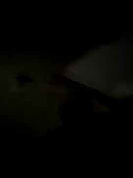 Snapshot of freedmar chatting on November 2025 11:32:01 AM freedmar online show from November 2025 11:32:01 AM