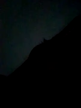 CatchingBouquet online show from September 2025 07:37:01 PM