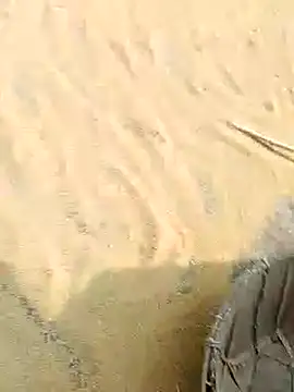 CatchingBouquet online show from November 2025 04:44:01 AM