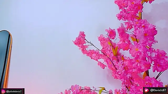 JulietaDavis online show from May 2026 02:06:02 AM