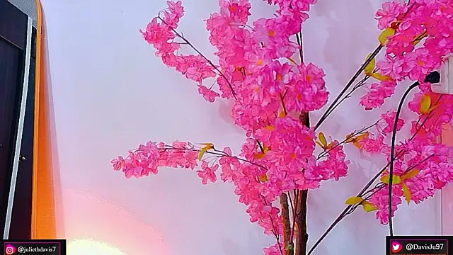JulietaDavis online show from May 2026 02:19:02 AM