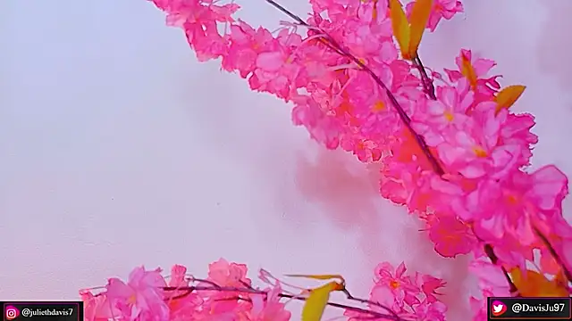 JulietaDavis online show from May 2026 09:39:02 AM