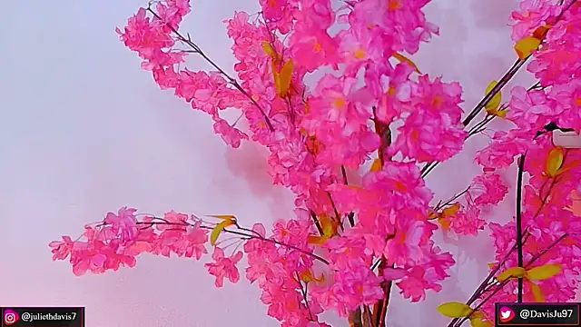 JulietaDavis online show from May 2026 02:07:02 AM