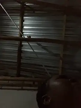 ChubbyAssyiyer online show from September 2025 10:32:01 PM