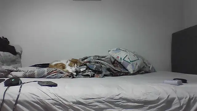 Snapshot of kocasosisli chatting on May 2026 05:43:01 PM kocasosisli online show from May 2026 05:43:01 PM