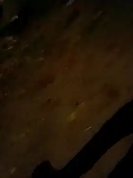 Snapshot of jvdzj-0_ chatting on October 2025 09:50:01 PM jvdzj-0 online show from October 2025 09:50:01 PM