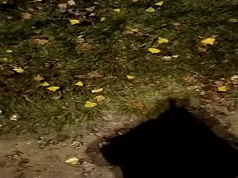 Snapshot of jvdzj-0_ chatting on October 2025 10:44:02 PM jvdzj-0 online show from October 2025 10:44:02 PM