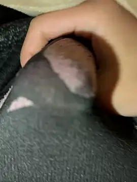 Snapshot of rrrrrriyyffhyeeee chatting on February 2026 12:29:02 AM rrrrrriyyffhyeeee online show from February 2026 12:29:02 AM