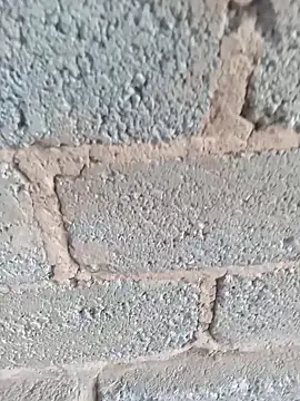 KingBonga online show from October 2025 04:37:02 AM