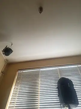 piercingpik online show from April 2026 09:15:02 AM