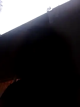 Snapshot of RFeltomWhitJ chatting on November 2025 04:40:01 PM RFeltomWhitJ online show from November 2025 04:40:01 PM