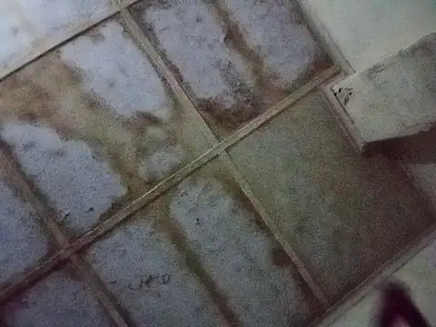 Snapshot of RFeltomWhitJ chatting on November 2025 01:11:01 AM RFeltomWhitJ online show from November 2025 01:11:01 AM