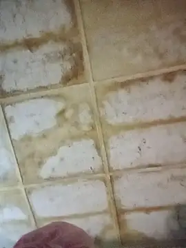 Snapshot of RFeltomWhitJ chatting on November 2025 11:15:01 PM RFeltomWhitJ online show from November 2025 11:15:01 PM