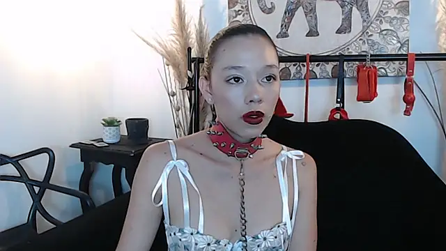 Snapshot of Doll4anall chatting on February 2026 06:53:02 PM Doll4anall online show from February 2026 06:53:02 PM