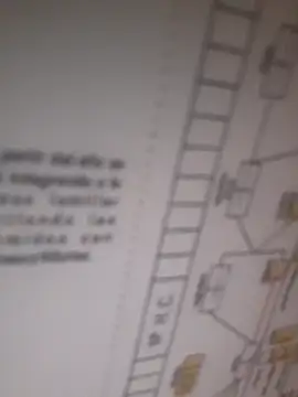 Snapshot of bocadepecado chatting on September 2025 08:25:01 PM bocadepecado online show from September 2025 08:25:01 PM