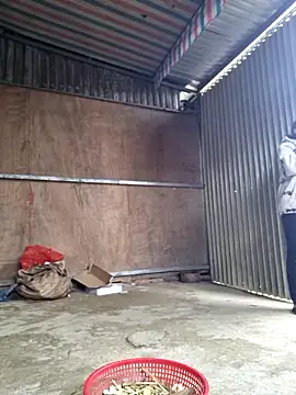 yoowwmr online show from February 2026 06:40:02 AM