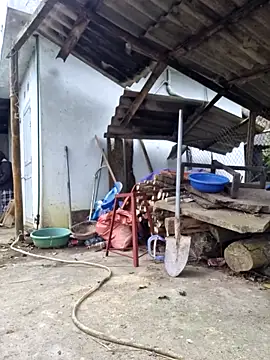 yoowwmr online show from February 2026 10:19:02 AM