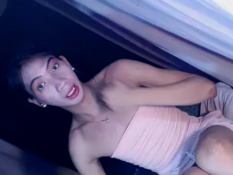 Snapshot of xyourdreamtrans chatting on November 2025 11:09:02 AM xyourdreamtrans online show from November 2025 11:09:02 AM