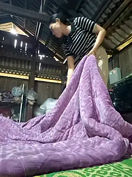 cincin 677 online show from November 2025 12:09:01 AM