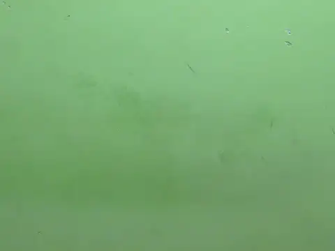 rockyy23boy online show from October 2025 10:26:01 AM