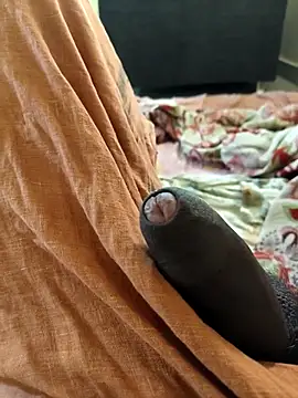 vichuhot online show from September 2025 08:29:02 AM